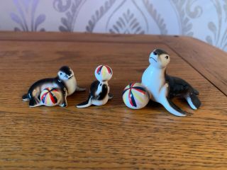 Three Sea Lions With Balls Performing Seals Vintage Kitsch