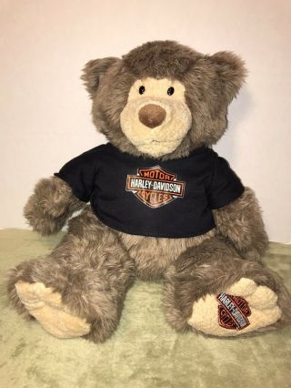 Harley Davidson Plush Teddy Bear 2003 With T - Shirt