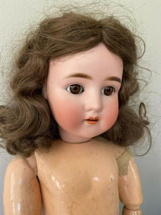 Antique Pansy Iv Doll 24 " Bisque Head High Color Body Tlc