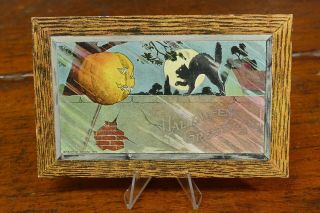 Vintage Halloween Postcard H M Rose Jack O Lantern On Stick Black Cat Reflective