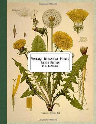 Vintage Botanical Prints: Eighth Edition By Lawrence,  E.