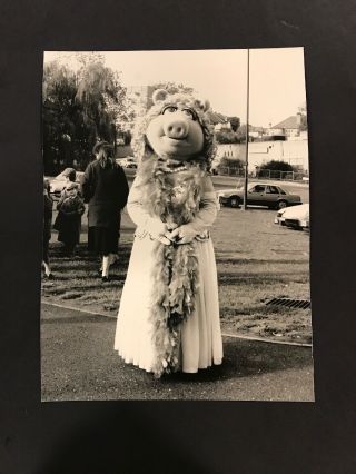 Miss Piggy Muppet Show Vintage 6 X 8 Press Photo 1980’s