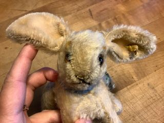 Antique Vintage Steiff Jointed Bunny Rabbit W/ ID 5”Tall Loved Darling 2