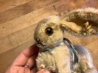 Antique Vintage Steiff Jointed Bunny Rabbit W/ ID 5”Tall Loved Darling 3