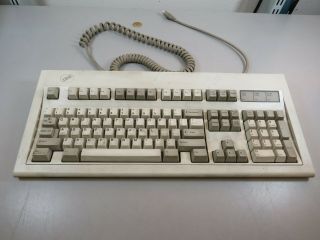 Vintage 1987 Ibm Ps2 Model M Keyboard P/n 1391401 Very Dirty