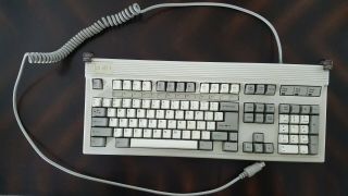 Vintage Focus Electronics Fk - 2001 Circa 1988 One Of The Best Clicky Keyboards
