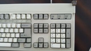 Vintage Focus Electronics FK - 2001 circa 1988 ONE OF THE BEST CLICKY KEYBOARDS 3