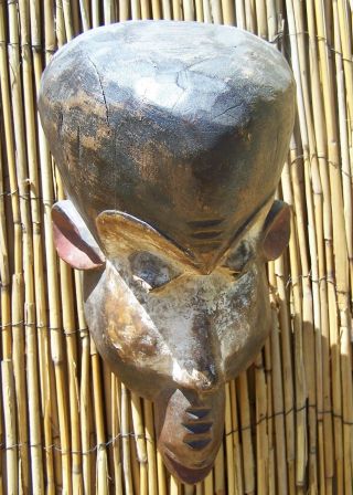 African Art Baule Monkey Mask From Ivory Coast 12 " Tall