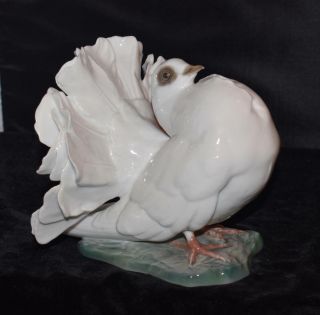 Rare Rosenthal Male Dove Courting By Fritz Heidenreich - S - 1589 - 6 " H - 1936 -
