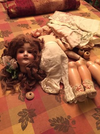 Antique Bisque Doll 26” Fresh From The Attic