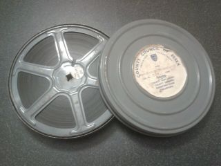 Birds Of The Countryside - Vintage 16mm Black And White Sound 400ft Cine Film
