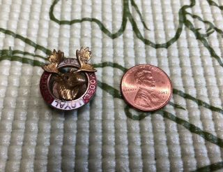 Loyal Order Of Moose Lodge Pap Purity Aid Progress Pin Vintage