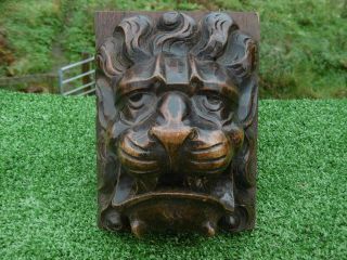 Mid 19thc Gothic Wooden Oak Carved Lion Head C.  1860