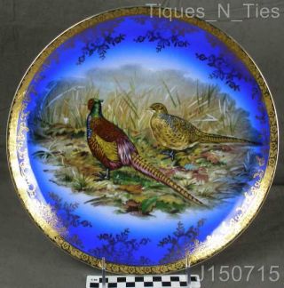 Vintage Stw Bavaria Germany Cobalt Blue & Gold Pheasant Bird Cabinet Plate (jj)
