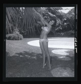 Vintage Bunny Yeager 1967 Pin - Up Camera Negative Pin - Up Bathing Beauty 2