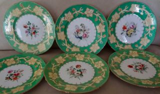 Set Of 6 Old Paris Porcelain Floral Enamel Plates Gold Gilded Stunning 9.  5 "