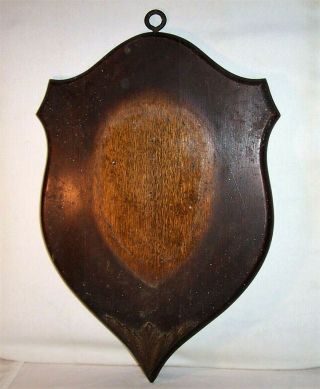 Circa 1914 Antique Hunting Trophy Shield Large 22 " Oak Wood Taxidermy Mount