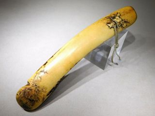 Fine Carved Kiseru - Zutsu Pipe Case 19thc Japanese Meiji Antique Netsuke