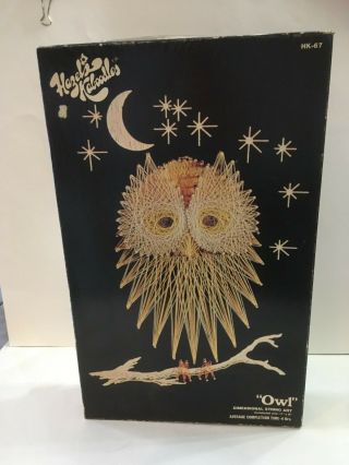 Vintage Hazels Kaboodles Owl String Art Kit 11 " X18 " Box Gold On Black Retro
