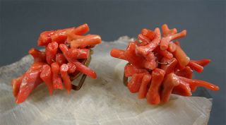 Pair Antique Mediterrenean Italian hand - carved Branch Coral Lady Studs Earrings 2