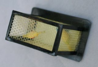 Vintage Celluloid Bird Cage - Made in Japan 3