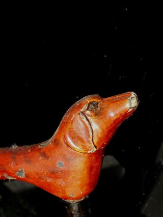 Antique American 19th Century Folk Art Carved/painted Dog Cane Walking Stick