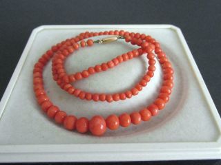 Antique Victorian Natural Red Coral Beads Necklace 18 " Long 10 Ct Gold Clasp