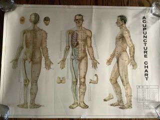 Vintage 1974 Acupuncture Chart 30x21 Poster Chinese Medical College Peking