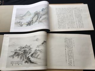 Vintage Set Of 2 Japanese Sumi - E Drawing Sample Books Manuals Instruction