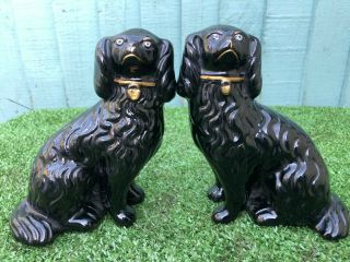 Pair 19thc Staffordshire Jackfield Black Spaniel Dogs,  C1880s