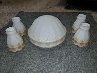 Set Of 5 Vintage Antique Ceiling Light Frosted Glass Shades Flowers