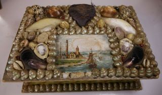 Vintage Antique Victorian Sea Shell Art Seashell Sewing Jewelry Trinket Box
