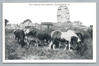Pony Penning & Carnival Chincoteague Virginia Vintage Horse Amusement Rides 40s