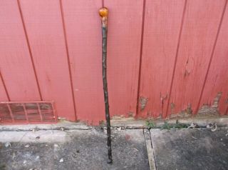 Antique Black Irish Thorn Wood Walking Stick Cane Burl Top 36 "