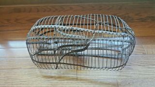Antique Early Primitive Wire Cage Live Quail Or Small Bird Trap