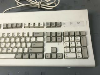 Vintage Dell Keyboard Model: AT101W 3