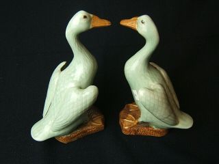 Celadon Glazed Chinese Export Porcelain Ducks Or Geese