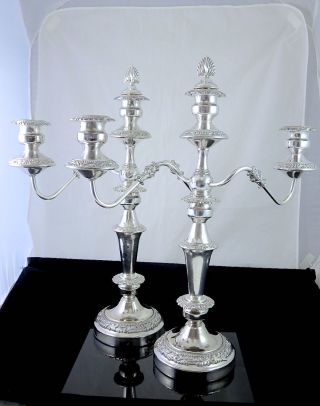 Pair Large Vintage Goldfeder Silver Co Silverplate 3 Arms Candelabras 20.  5 "
