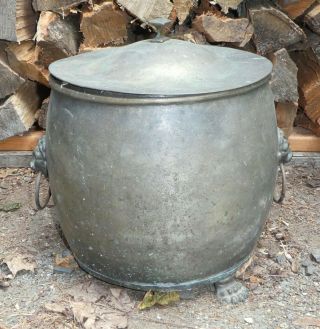 Antique Victorian Coal Bucket Fireplace Cauldron Lion Head Brass Claw Footed Po