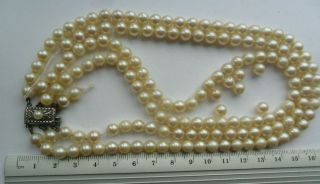 Vintage Jewellery 3 Row Cultured Pearl Beads Necklace Silver Clasp Need Restring