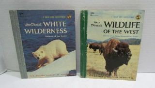 Disney True - Life Adventures White Wilderness Wildlife Of The West Book Pair 1958