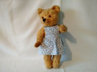 Antique Alpha Farnell English Mohair Jointed Teddy Bear 14 " 1900 - 1910s