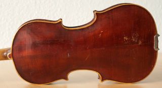 Old Small Violin Geige Viola Cello Fiddle Label SchrÖtter