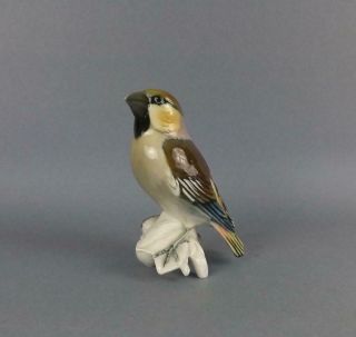 Vintage Porcelain Volksted Dresden Figurine Of A Bird By Karl Ens
