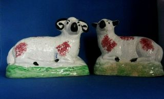 Antique Early 19thc Scottish Pottery Figures Of Sheep - A Ram & Ewe C1820