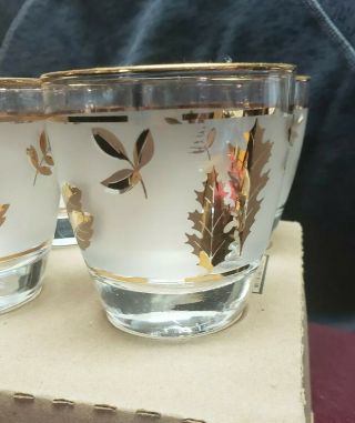 Vintage Set Of 5 Glasses Frosted With Gold Trim & Leaves