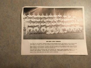 1973 York Yankees Team Photo 8 1/2 X 11