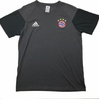 Adidas Fc Bayern Munchen Men 