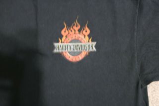 Harley Davidson T - Shirt Mens Xl Beartooth Harley Davidson Montana
