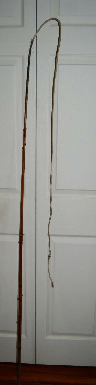 Antique Hallmarked London Warranted Holly Coach/ Carriage Driving Whip W.  W.  Co